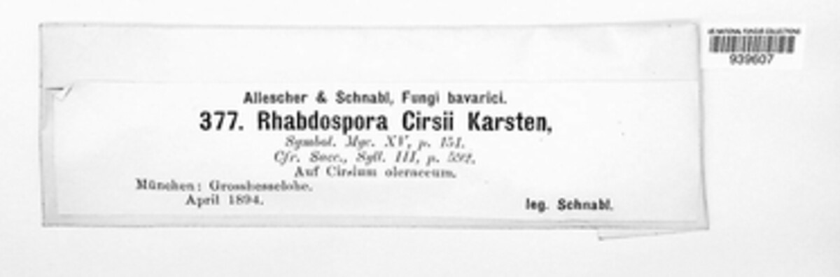 Nodulosphaeria image